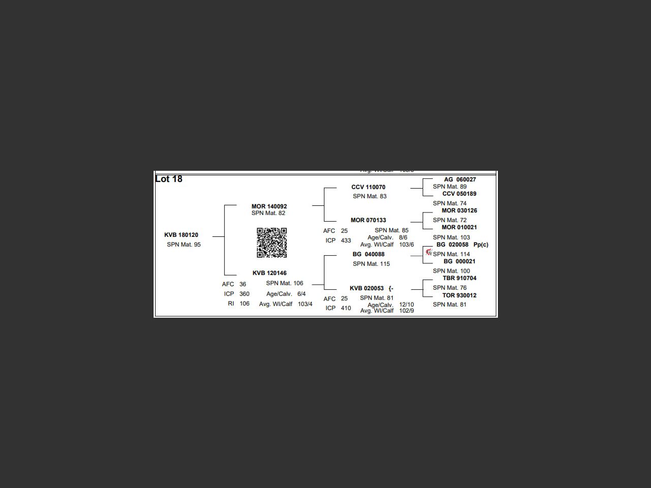 images