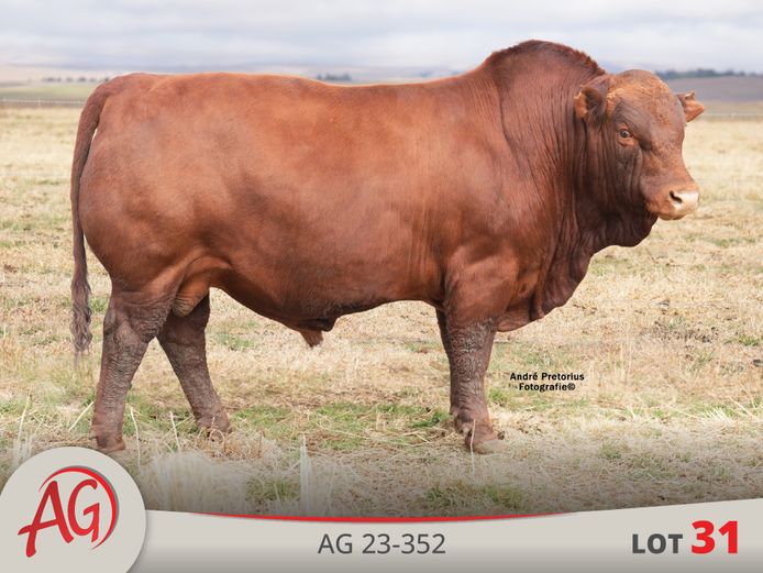 AG230352 | ARTHUR DE VILLIERS & SEUN