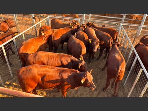 images