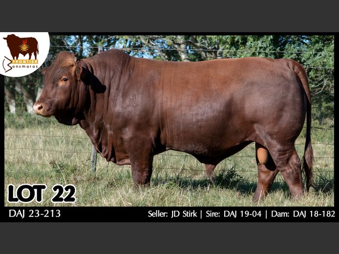 DAJ 230213 | J.D. STIRK