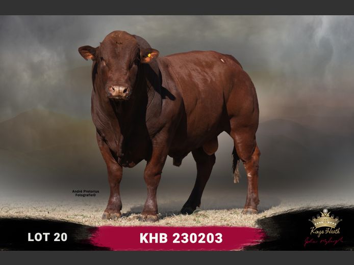 KHB 230203