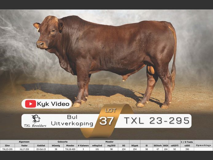 TXL23-295