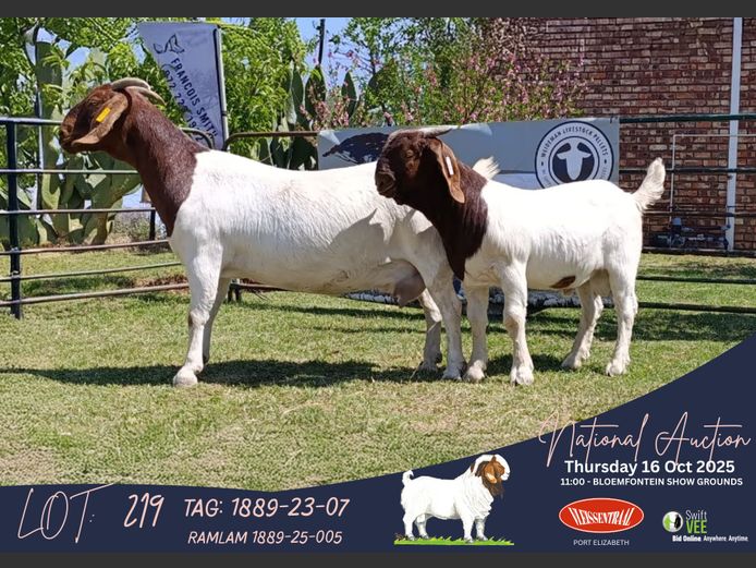 1889-23-0007 | Francois Smith (Kameeldoring Boerbokstoet)