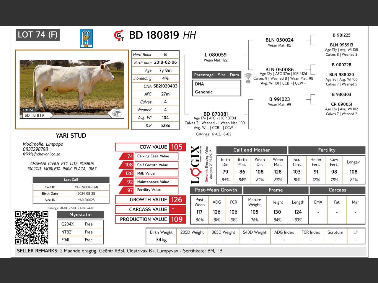 Lot 74 | BOSVELD HUGENOOT GROEP VEILING | SwiftVEE | Livestock & Cattle ...