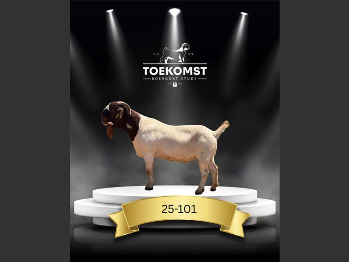 25-101 | Toekomst