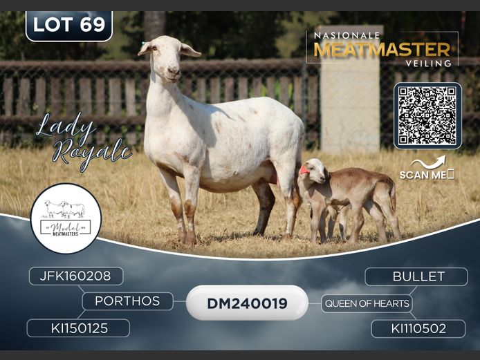 DM 24 0019 | MODEL MEATMASTERS
