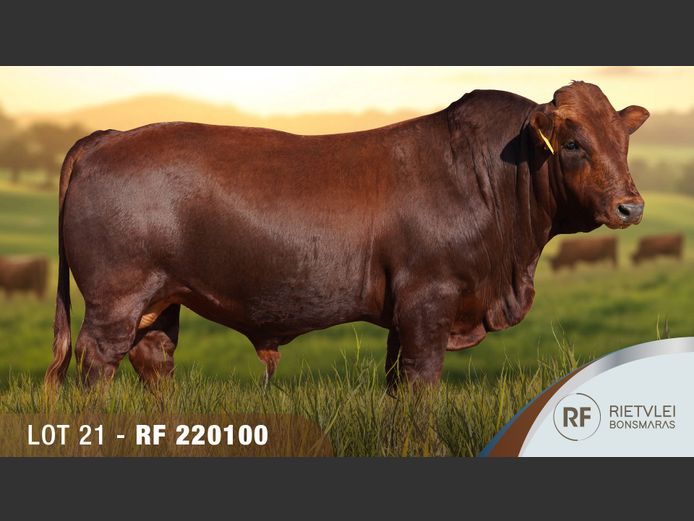 RF220100 | FA-YI ZHOU FAMILY TRUST