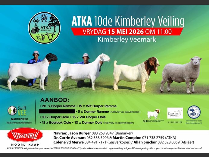 ATKA STOET 10DE VEILING