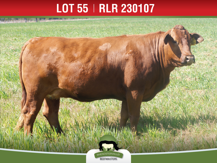 RLR 230107 | J.H. MEYER