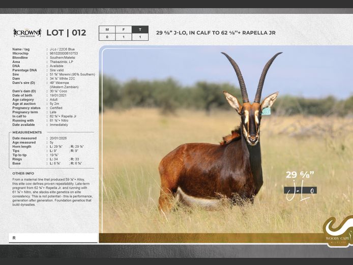 Sable | Crown Game Holdings (Pty) Ltd