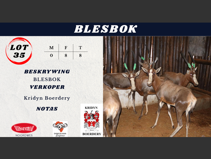 BLESBOK