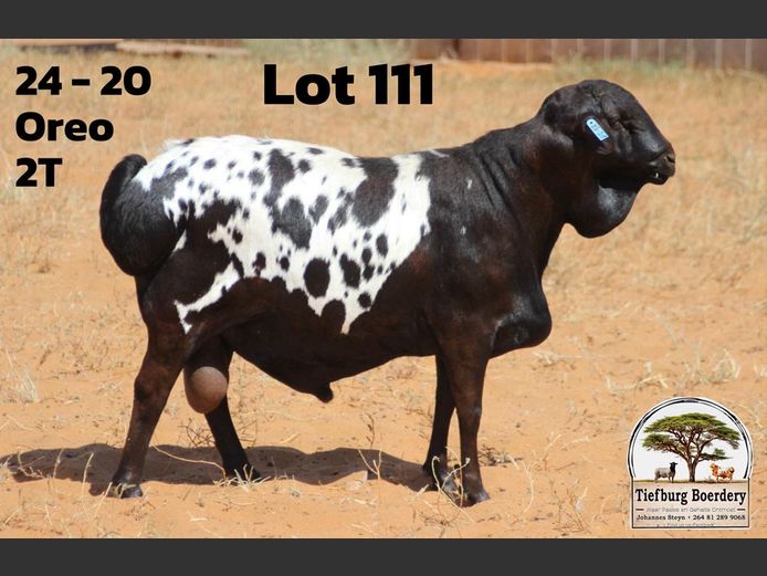 24 20 | TIEFBURG BOERDERY