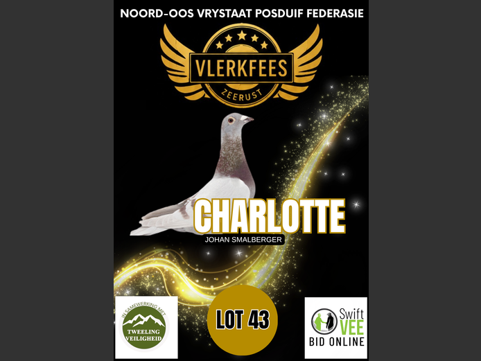 CHARLOTTE | JOHAN SMALBERGER