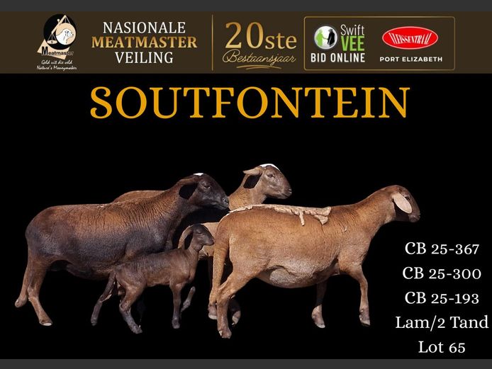 CB 25-300 | Soutfontein Meatmasters