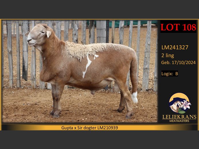 LM241327 | LELIEKRANS MEATMASTERS