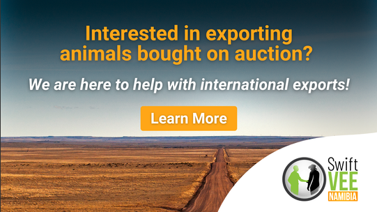 Nam export