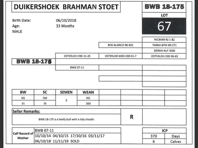 BWB 18-175