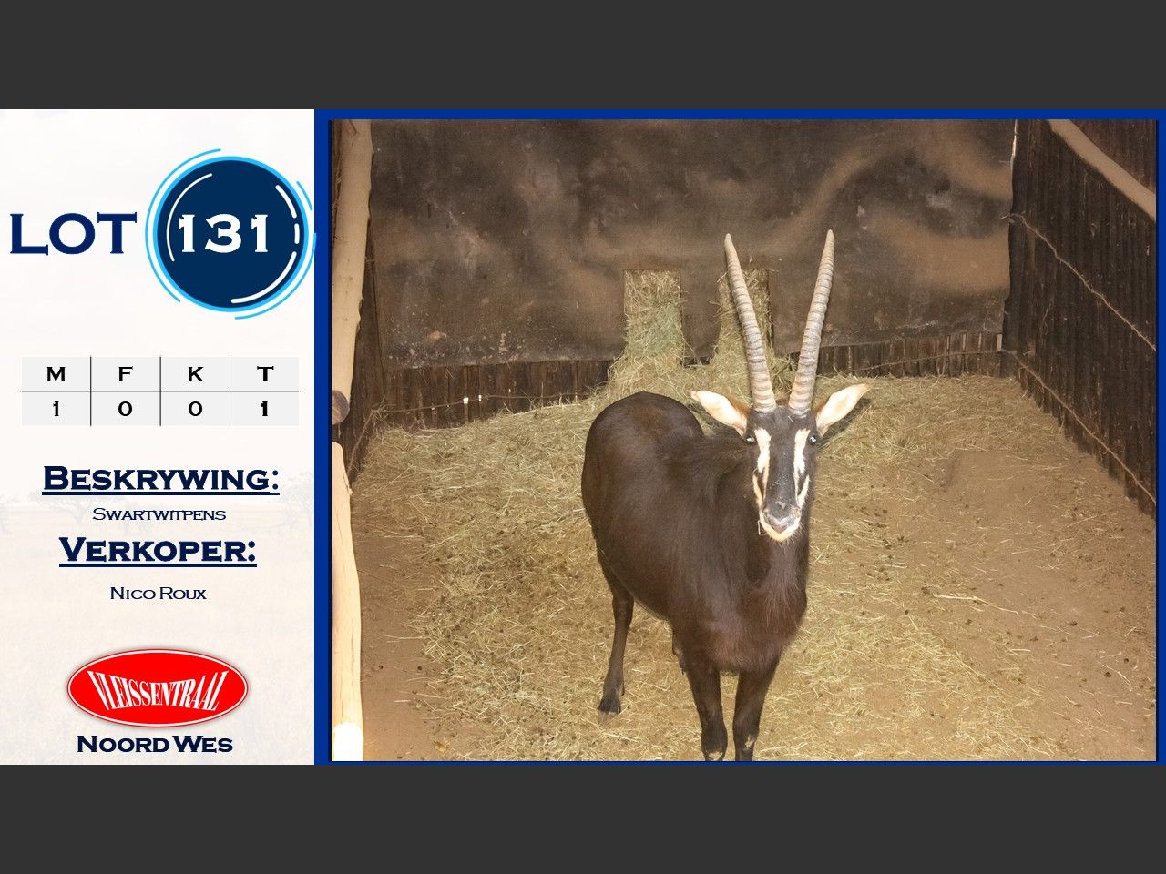 Lot 131 | NICO ROUX WILDVEILING | SwiftVEE | South Africa’s Leading ...