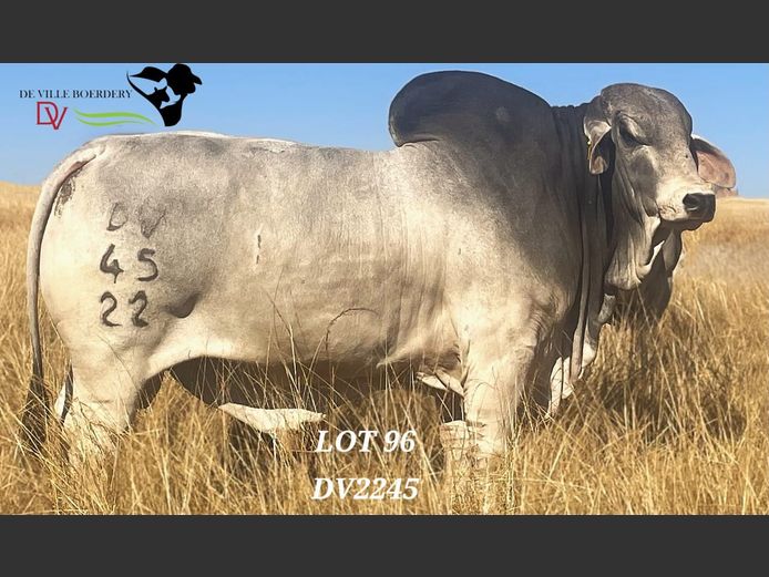 DV2245 | DE VILLE BOERDERY (EDMS) BPK
