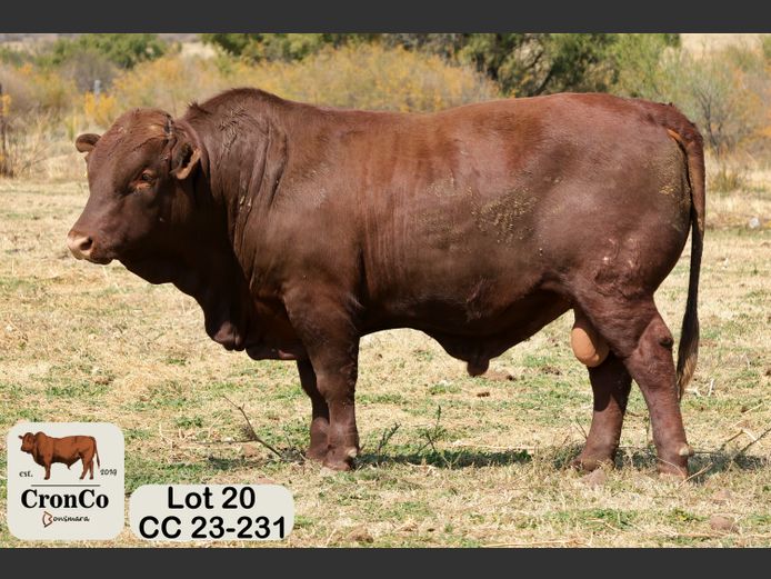 CC 230231 | CRONCO AGRI