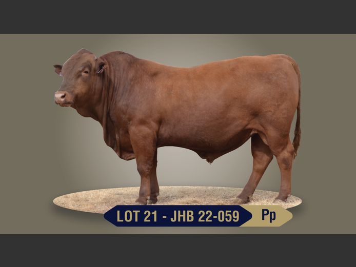 JHB220059 | BOONS BOERDERY CC