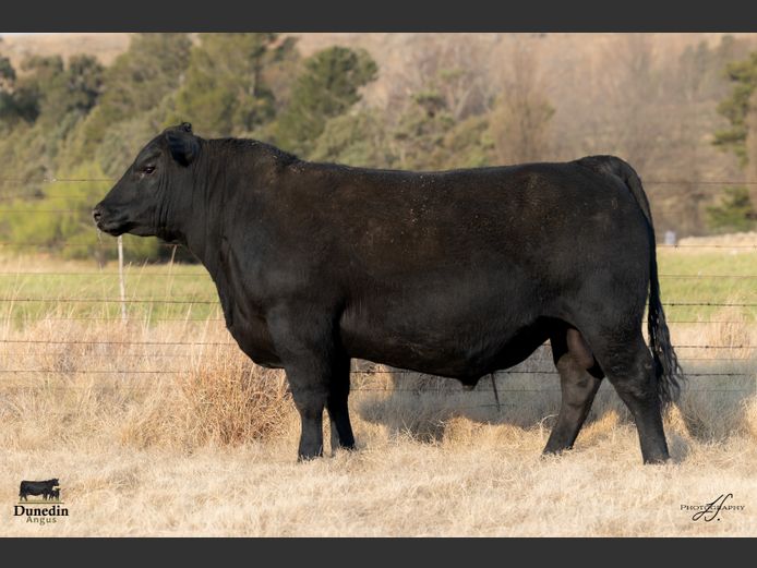 KCM 230095 | TABLE HILL FARMING PTY LTD