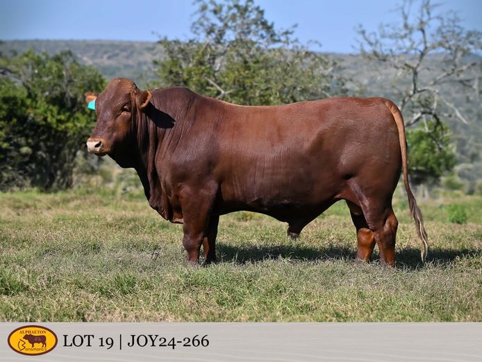 JOY240266 | FETTING LIVESTOCK TRUST
