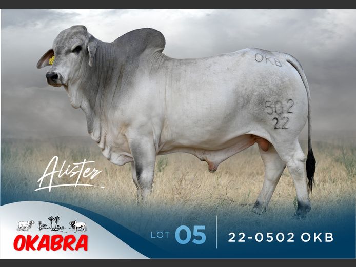 22-0502 OKB