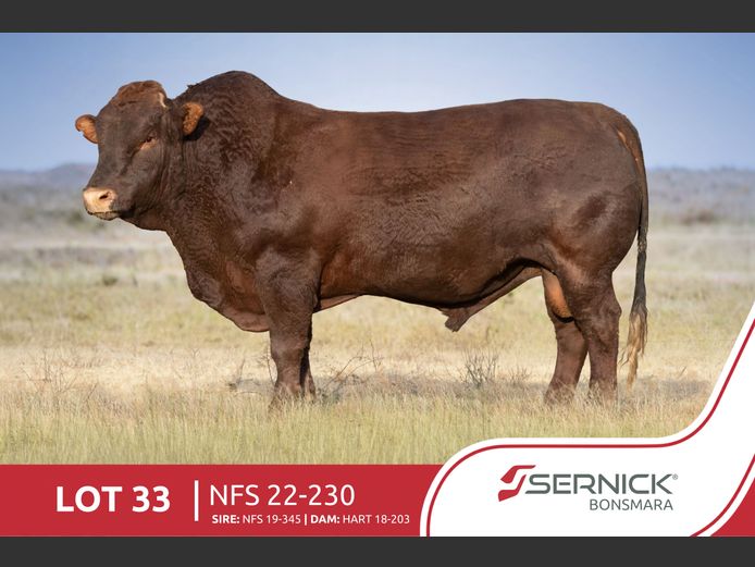 NFS 220230 HH(c) | SERNICK BONSMARA STOET