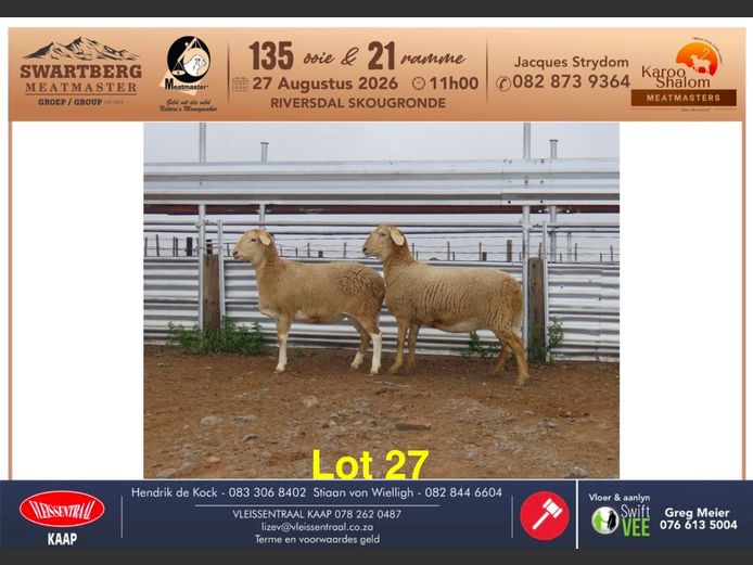D25.243 | KAROO SHALOM