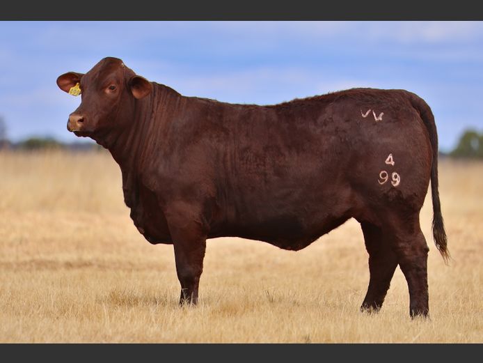 VV  240099 | T. DE JAGER