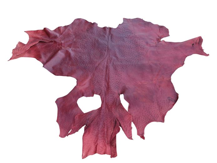 Genuine Burgundy Ostrich Leather Game Hide Skin