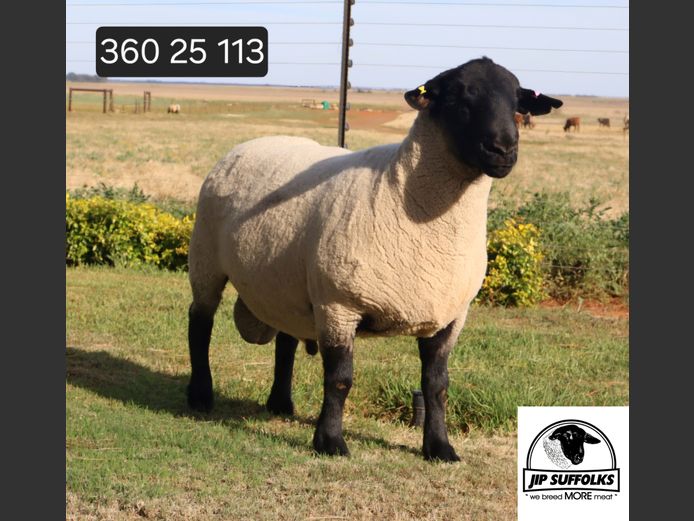 360250113 | J.I. POTGIETER