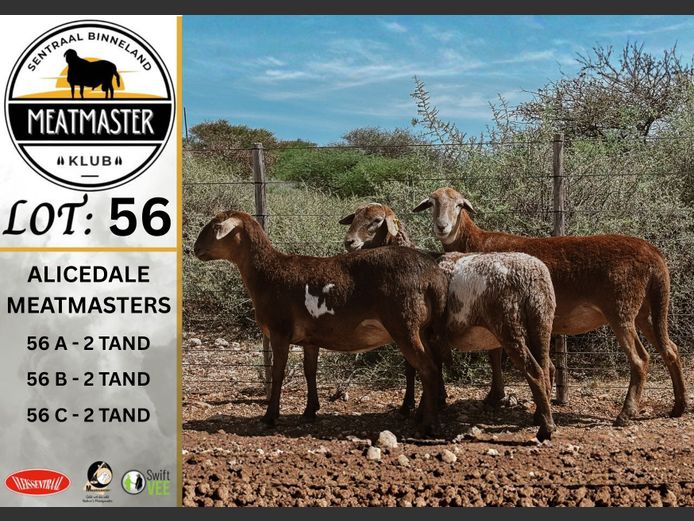 Ooie | Alicedale Meatmasters