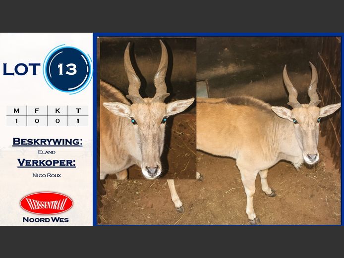 Eland