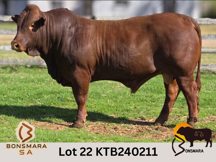 KTB240211 | BOTTERFONTEIN ESTATES CC
