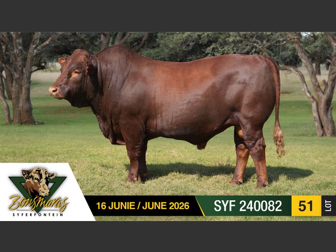 SYF240082 | SYFERFONTEIN BOERDERY