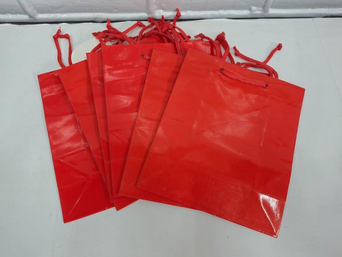 6-Pieces Red Glossy Gift Bags with Handles