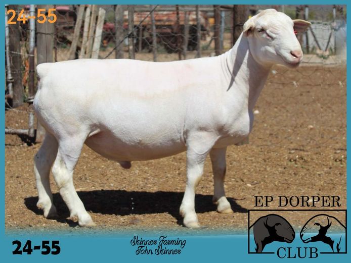 24-55 | ***John Skinner - Skinner Farming