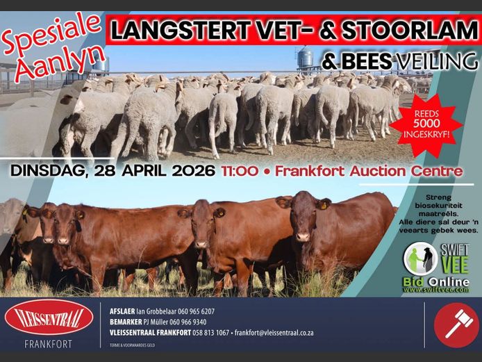 SPESIALE AANLYN LANGSTERT, VET- EN STOORLAM EN BEES VEILING