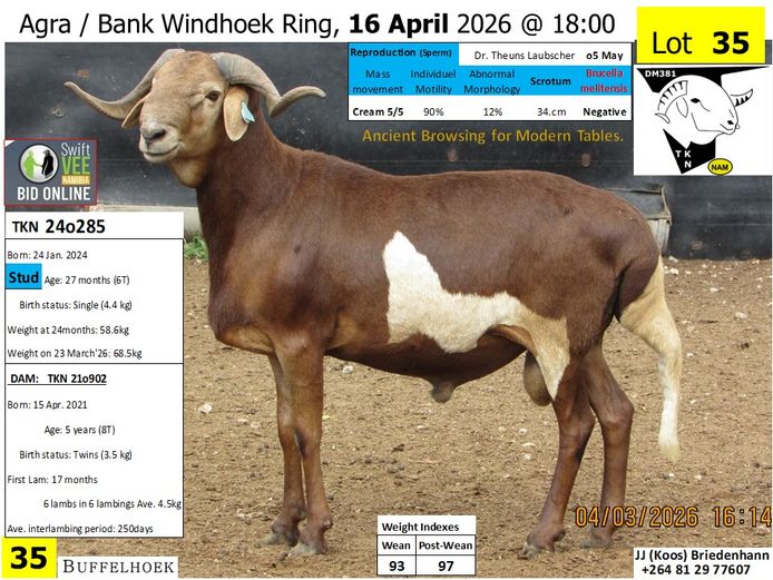 TKN 24o285 | KOOS BRIEDENHANN