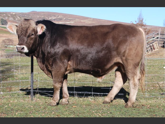 N 220061 | EDUAN BOERDERY