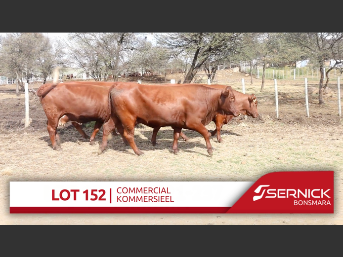 Commercial Animals