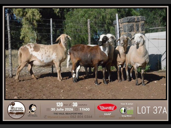 PB 2565 | Johan & Jeanne Murray - Pienaarspan Meatmasters