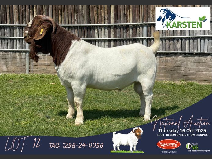 1298-24-0056 | Karsten Boerdery