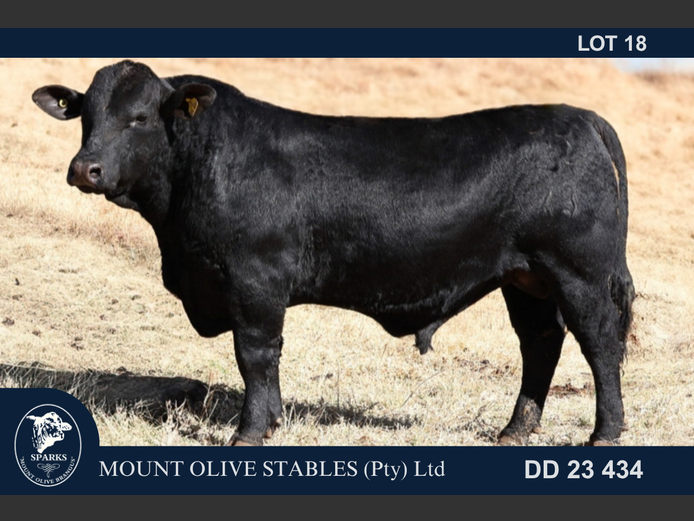 DD23434 | MOUNT OLIVE STABLES (PTY) LTD