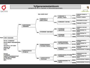genetic_data