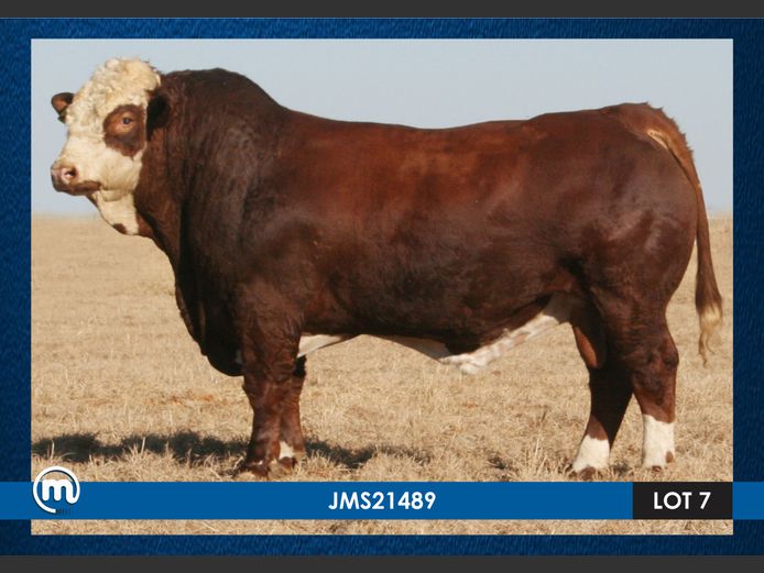 JMS21489