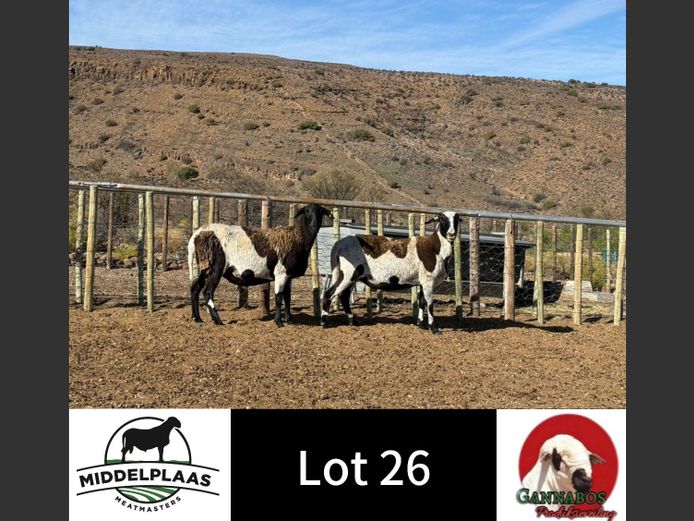 154 | Middelplaas Meatmasters