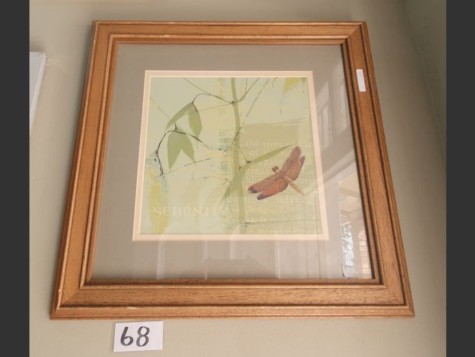 LIGHTWOOD FRAMED PRINT "DRAGON FLY", 29 x 29cm